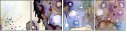 33363025