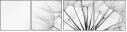 33514436