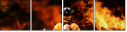33557057