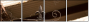 33620946