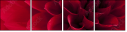 33891278