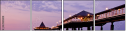33920389