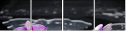 34084516