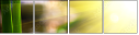 34213537