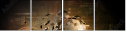 34266129