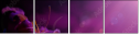 34429409