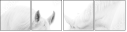 35103653