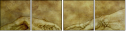 35198447