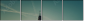 35687420