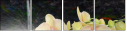 35693126