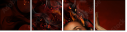35756835