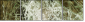 35814407
