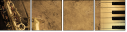 36435331