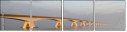 36477727