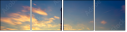 36677495