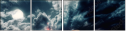 37144619