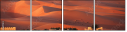 37617124