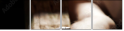 37936605