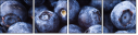 38114663