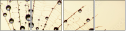 3821289