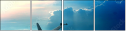 38251844