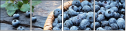 38310758
