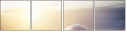 38341685
