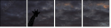 38615749