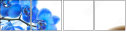 38624938