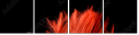 38661910