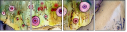 38913285