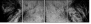 39012933