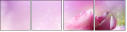 39098232