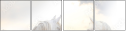 39379911