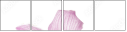39612007