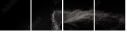 39713173