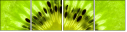 39788047