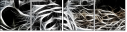 39837921