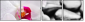 40051892