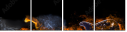 40721374