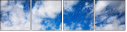 40998837