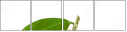41068624
