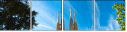 41069127