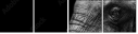 41216080