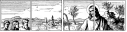 41285323