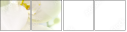 41769892