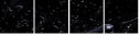 41836378