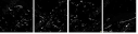 41997356