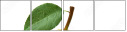 42343029