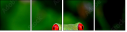 42467641